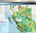AIP – BC Watershed Statistics